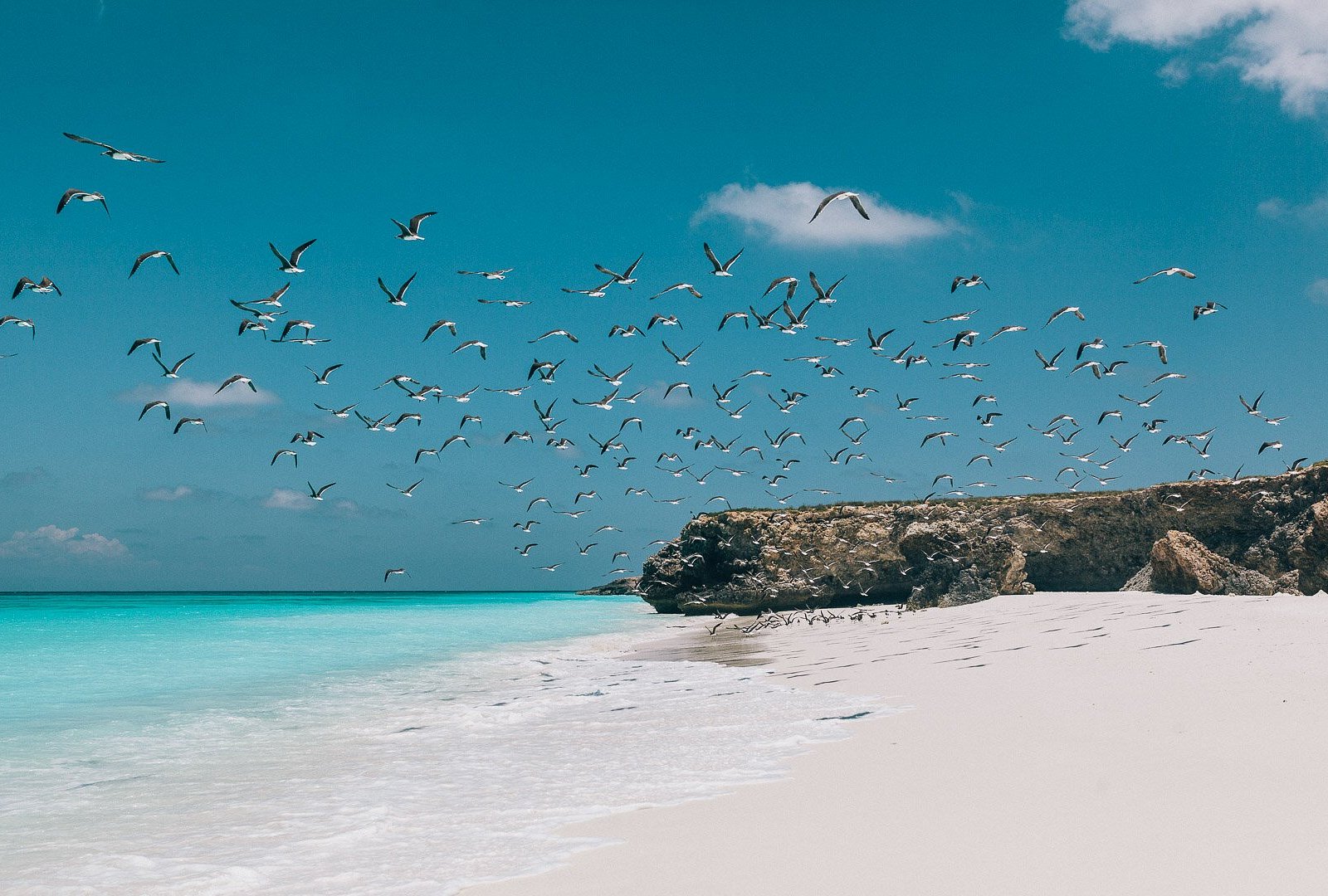 Shoab Beach